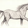 galloping Horse