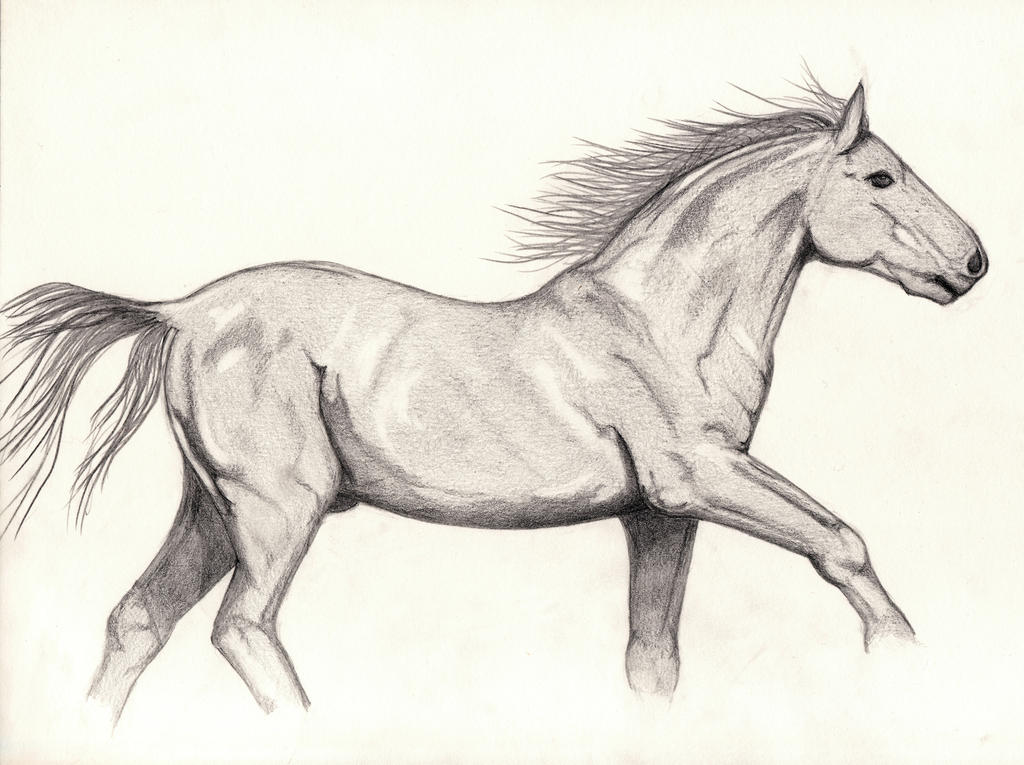 galloping Horse