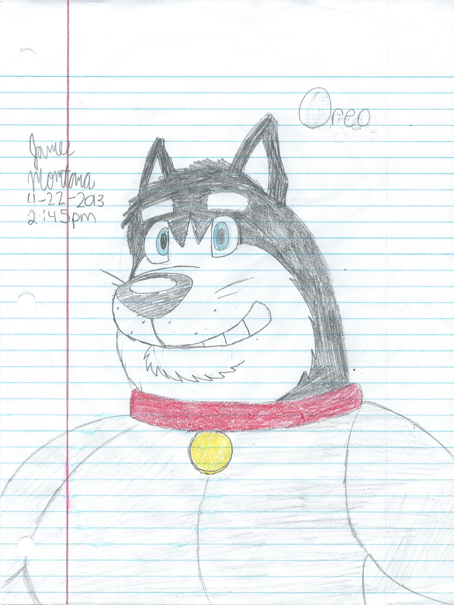 Oreo's Cano-Sapien Form (COLORED)