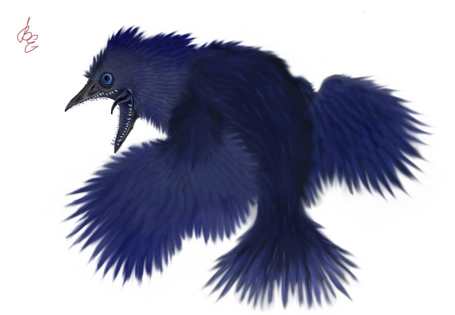 Anamorphic Crow Crow by Rion1996 on DeviantArt