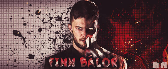 Finn Balor Two Face Banner