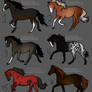 Mini horses Adopts