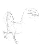 Horse and eagle sketch