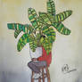 Lady Banana Plant