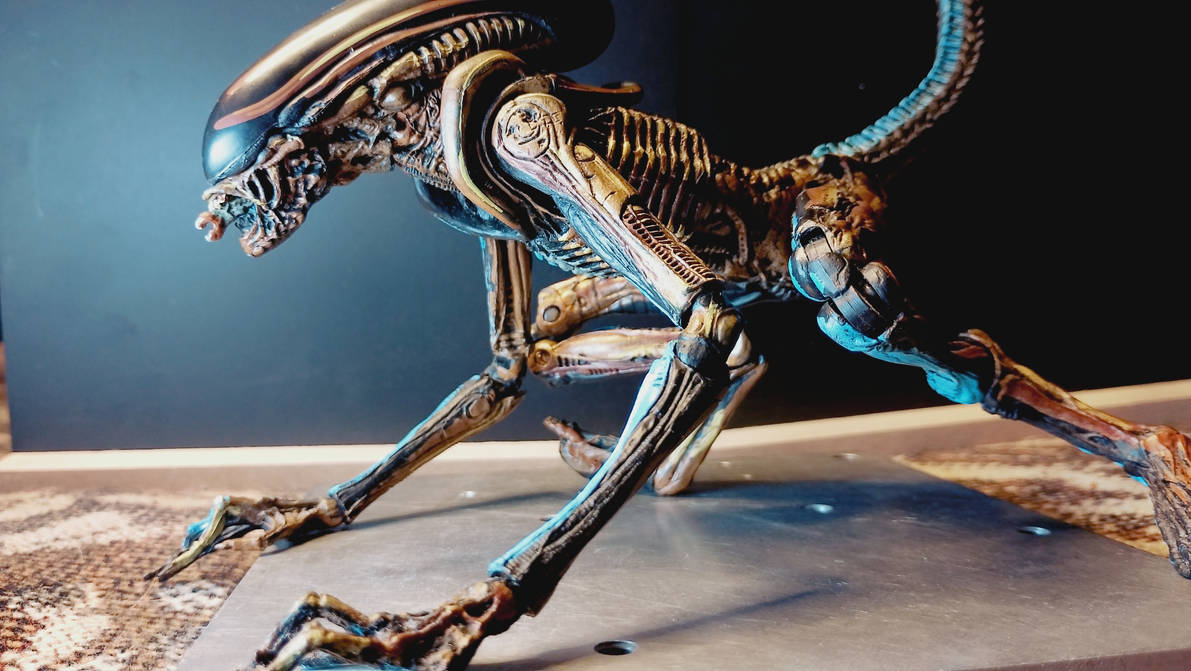 Dog Alean Dog Alien a2 by abaddonxxx on DeviantArt
