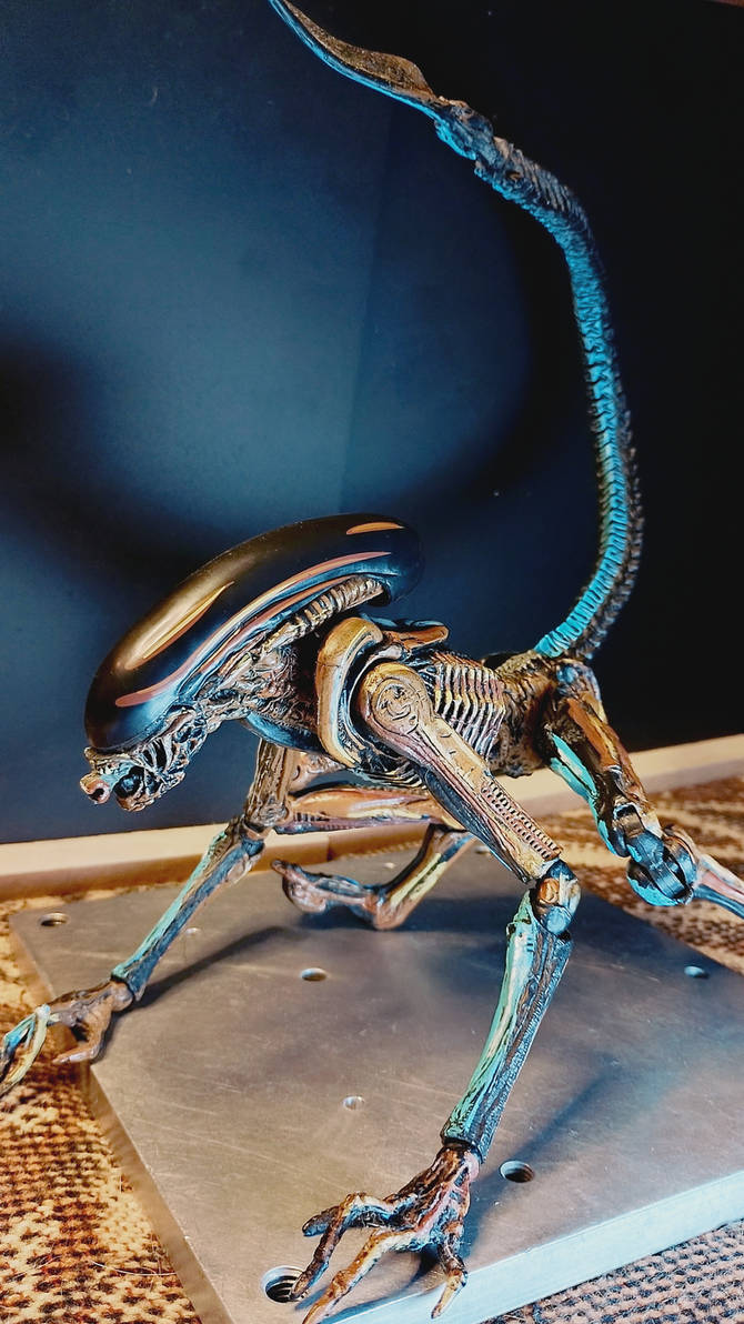 Dog Alean Dog Alien a1 by abaddonxxx on DeviantArt