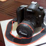 Canon Camera Cake