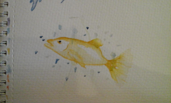 Yellowfish