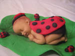 Ladybug Baby 2