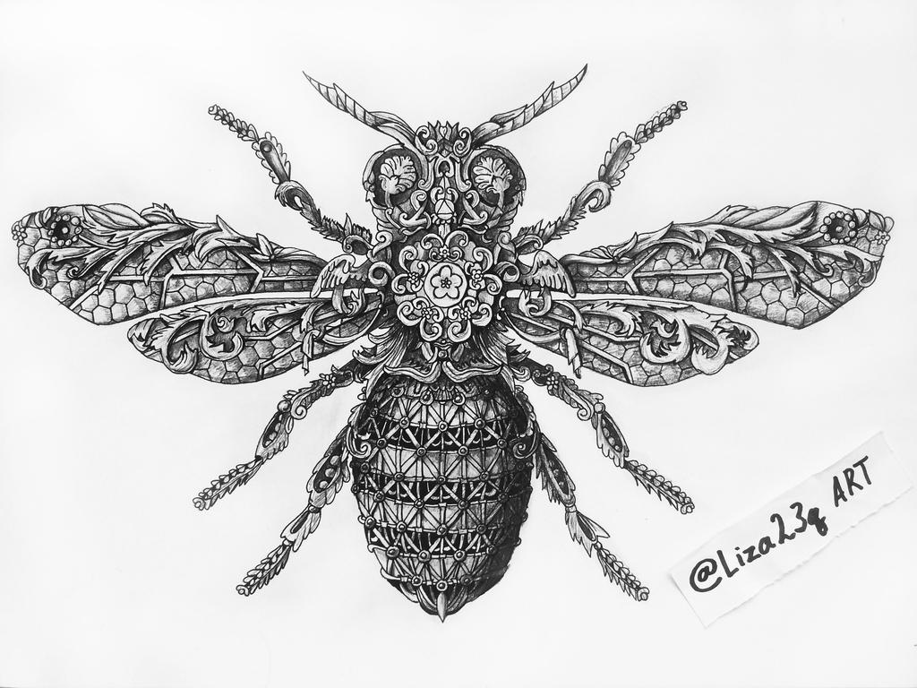 Insect bee