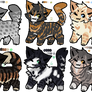 (0/8) RSW Cat Adopts- Batch 2