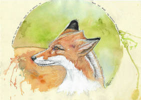 Sionnach ~ Fox