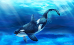 Happy Orca by LeoKatana