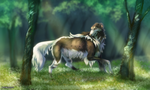 A Walk in the Woods by LeoKatana