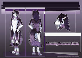 {Commission} - Manning Desmond Shield ref sheet