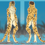 {Commission} - Mang the cheetah reference sheet