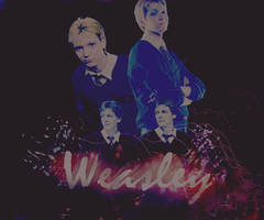 Weasley-twins