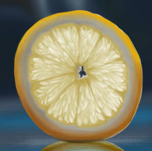 Lemon Slice... by Astarsia Lemon Slice... by Astarsia