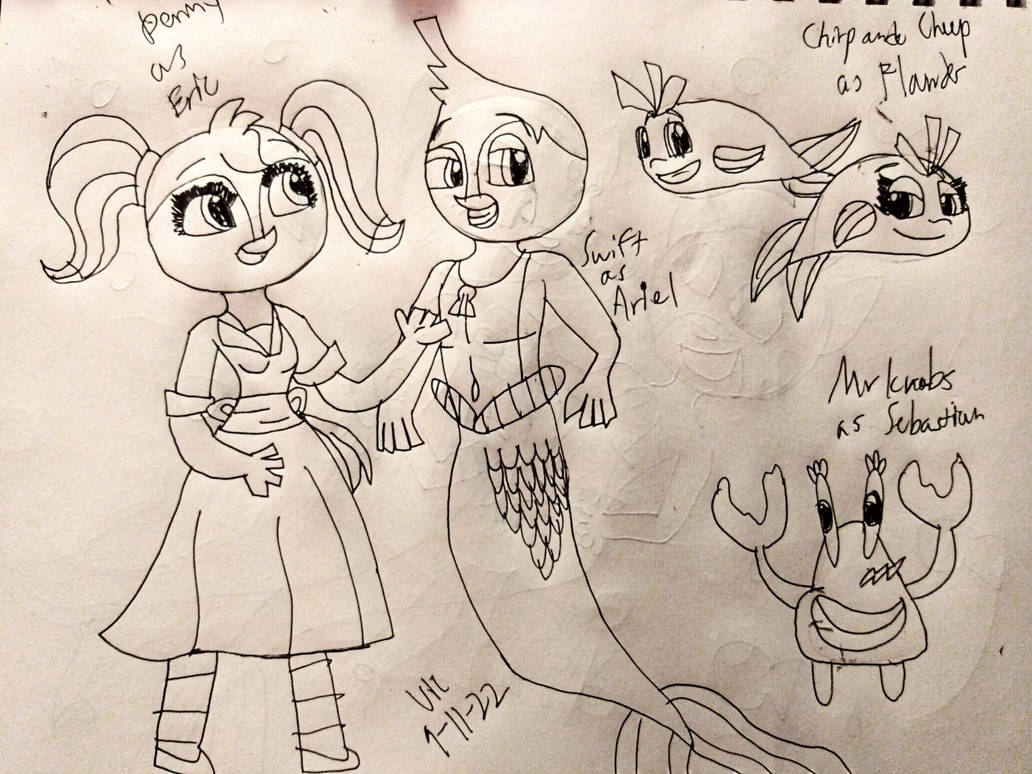 Little Mer Princess The little merbird in TLM Style by Victheanimaldrawer on DeviantArt