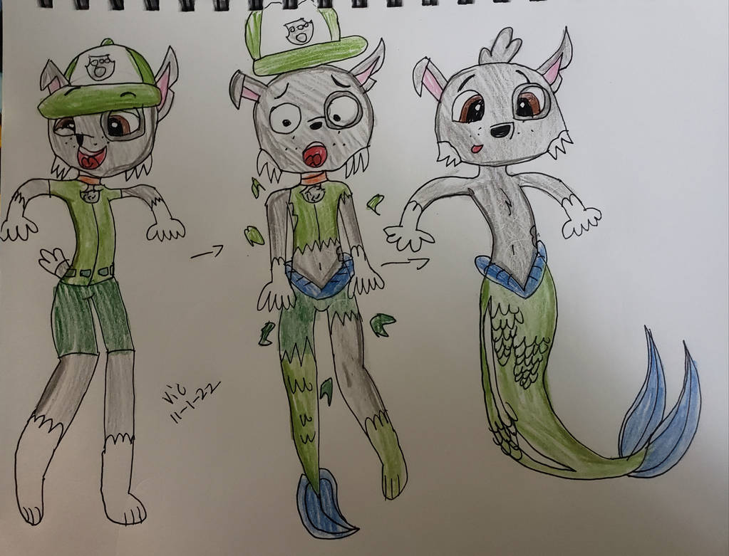 Rocky Merpup Tf By Victheanimaldrawer On DeviantArt rocky-merpup-tf-by-victheanimaldrawer-on-deviantart