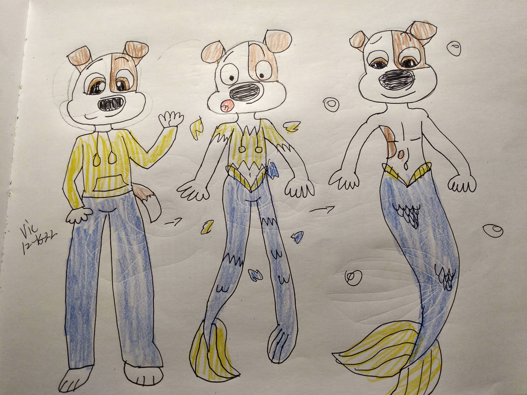 Max Merdog transformation by Victheanimaldrawer on DeviantArt