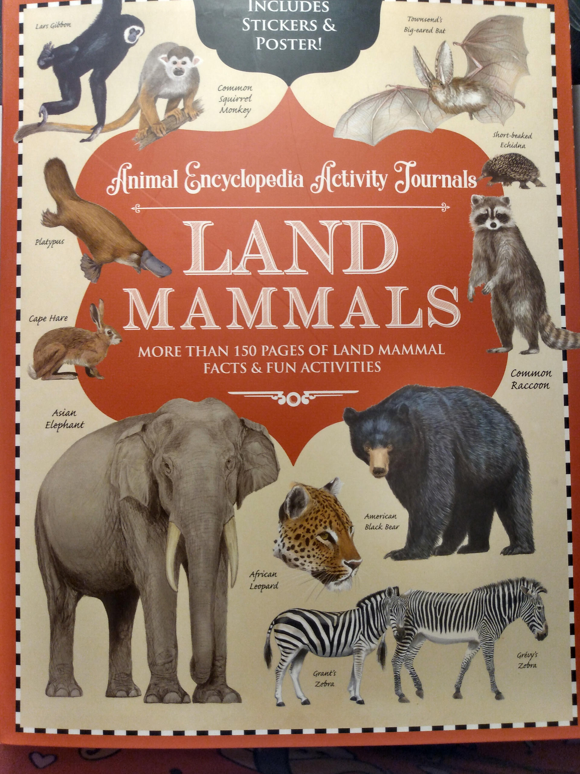 Land Animals Chart.pdf Animal encyclopedia of Land animals by Victheanimaldrawer on DeviantArt