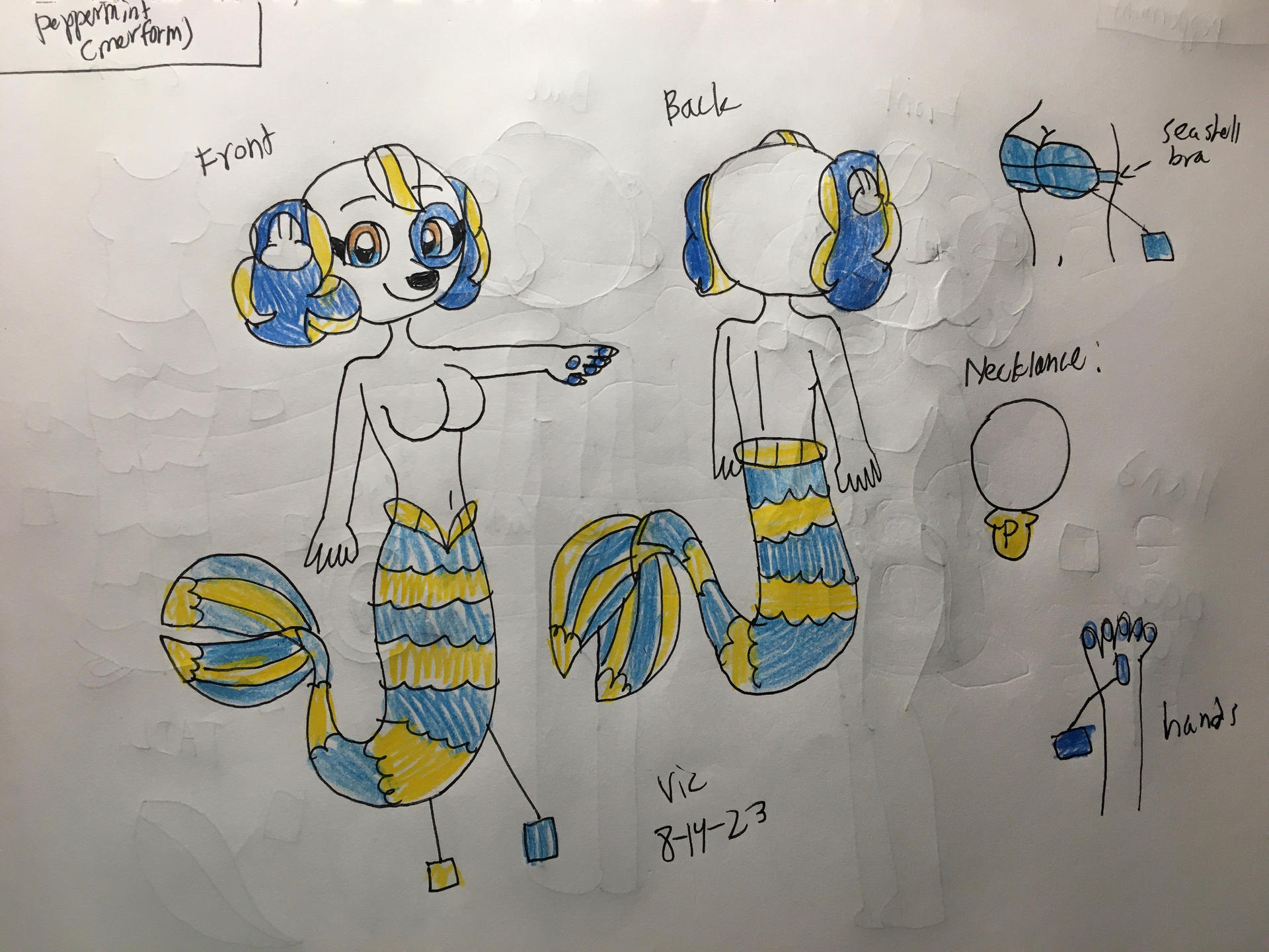 Mer Person Reference Peppermint mer-form Reference sheet by Victheanimaldrawer on DeviantArt