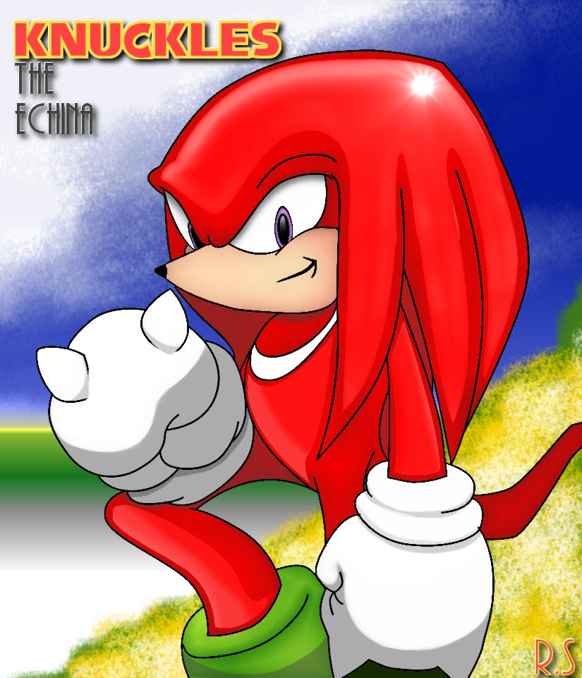 Knuckles The Echina by Rafeal on DeviantArt