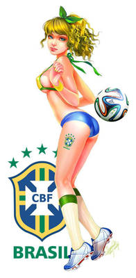 2014 FIFA World Cup soccer Brazil