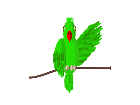 Parrot