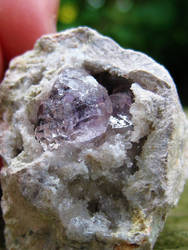 Amethyst geode