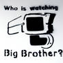 Who is watching Big Brother?