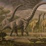 Brachiosaurus, Camarasaurus.