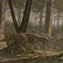 Tarascosaurus, Iguanodontia, Variraptor.