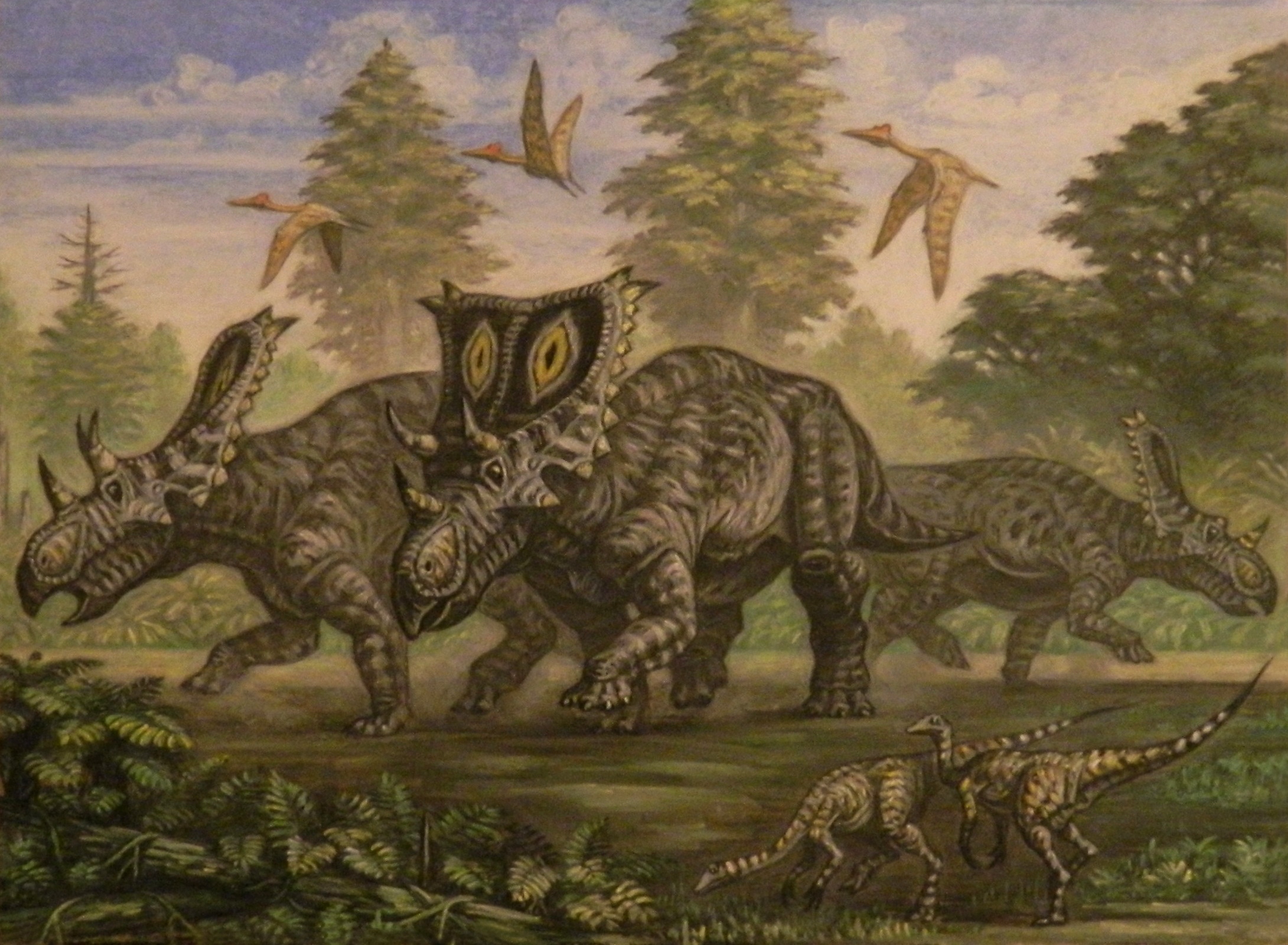 Chasmosaurus, young Ornithomimus.