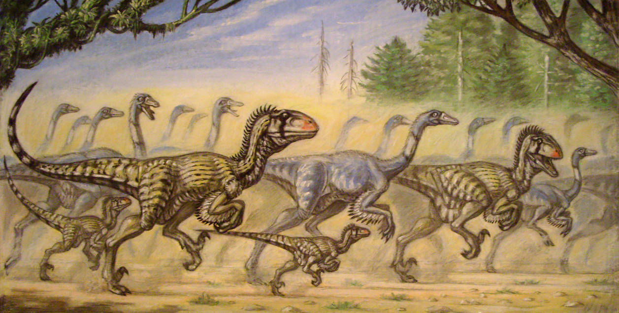 R. T. Bekker Red raptor hunts for ornithomimidae. by ABelov2014 on ...