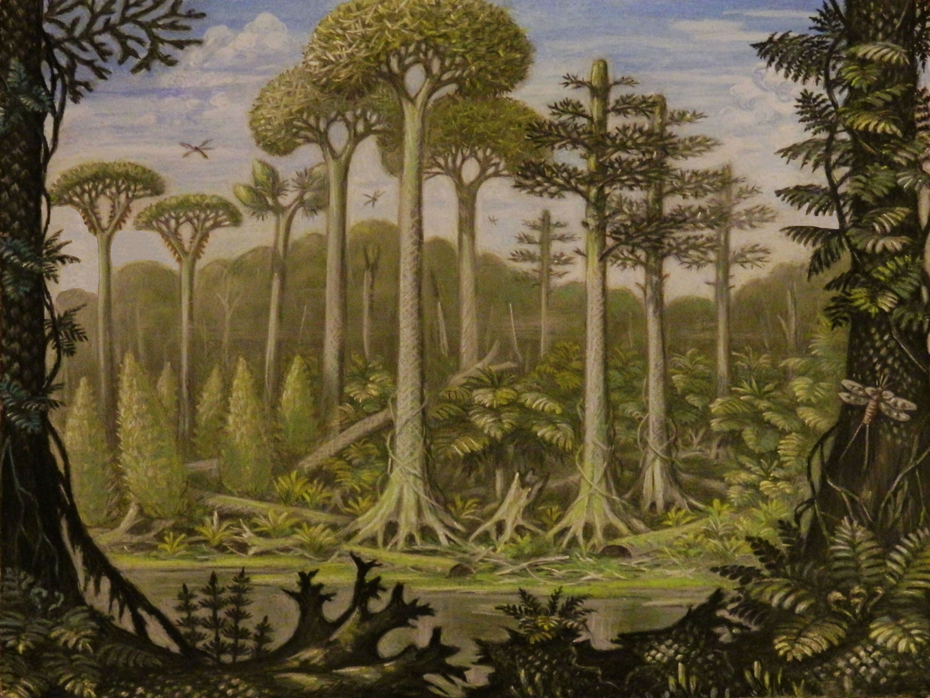 A forest of the Carboniferous period (var.1).