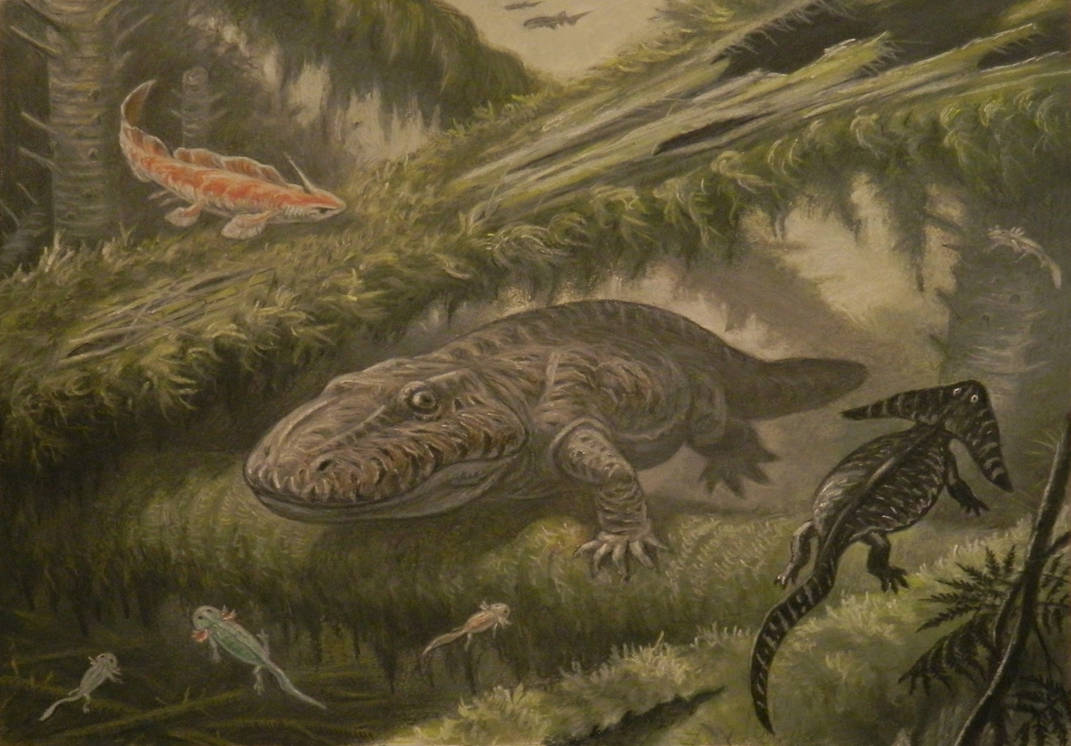 Существовавший в палеозое. Палеозойская Эра стегоцефалы. Эриопс амфибия. Динозавры палеозойской эры. Пермский период палеозойской эры животные.
