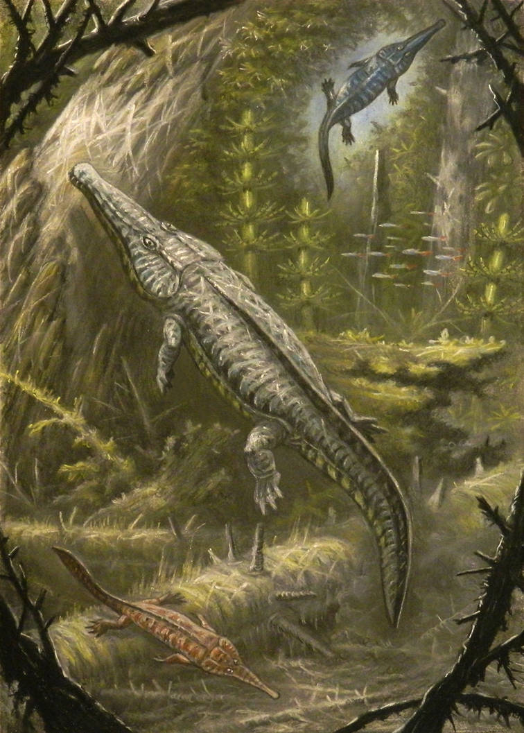 Ихтиозавры стегоцефалы