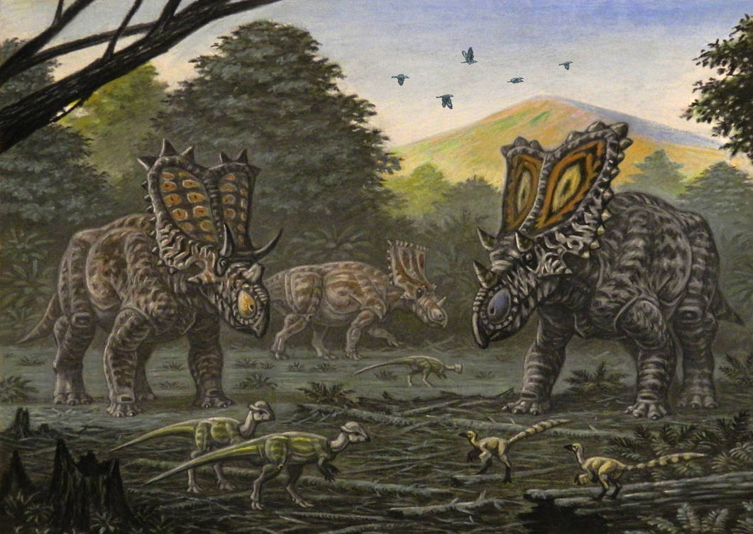 Chasmosaurinae by ABelov2014 on DeviantArt