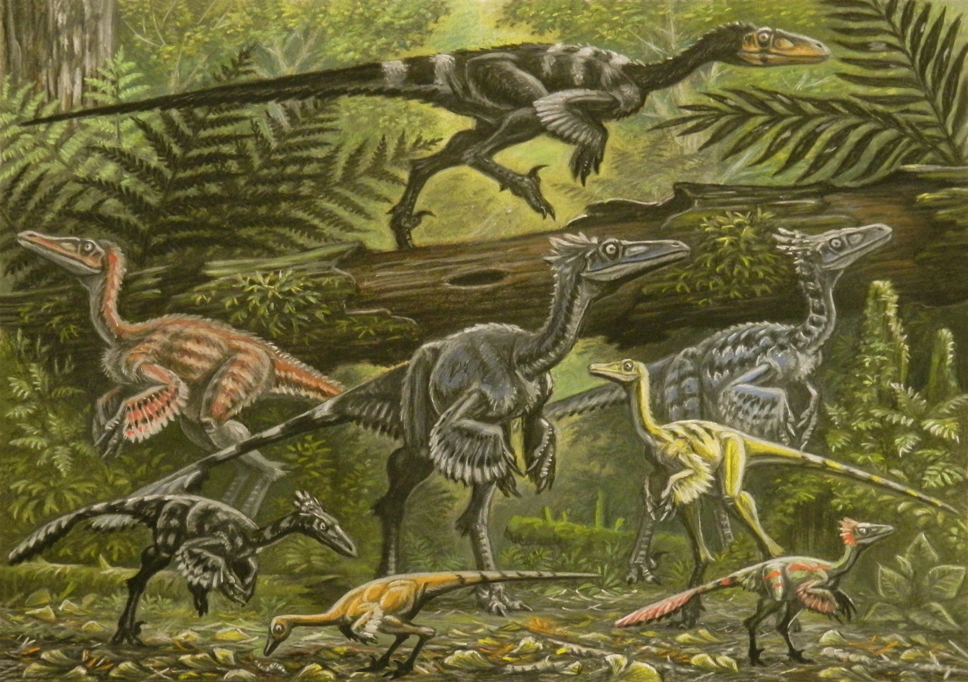 Troodontidae by ABelov2014 on DeviantArt