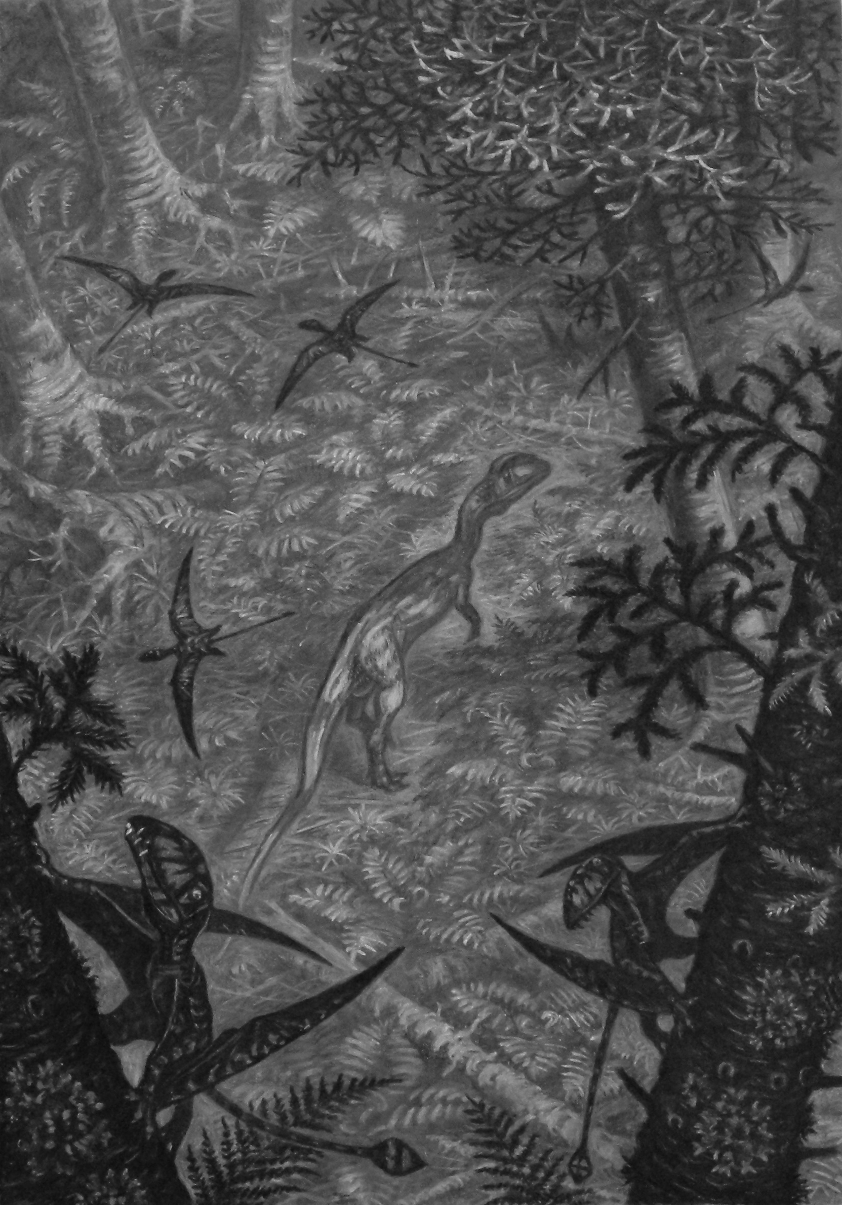 Dimorphodon by ABelov2014 on DeviantArt