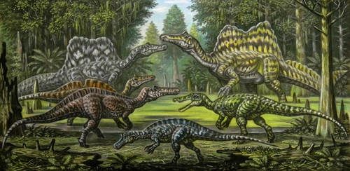 AnimaliaEnthusiasts DeviantArt Gallery