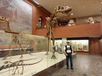 tarbosaurus skeleton