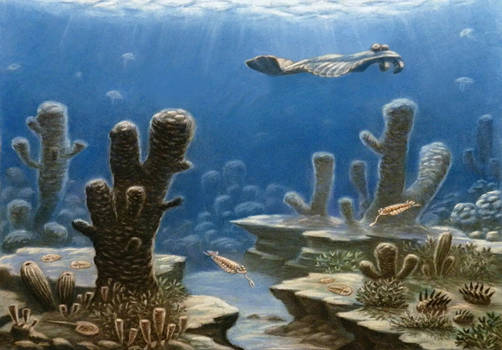 The history of life on earth