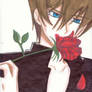 De-Lovely Kaiba-Boi