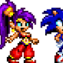 Sonic and Shantae (Pirates Curse Style Sprites)
