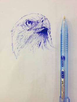 Eagle Pen Sketch