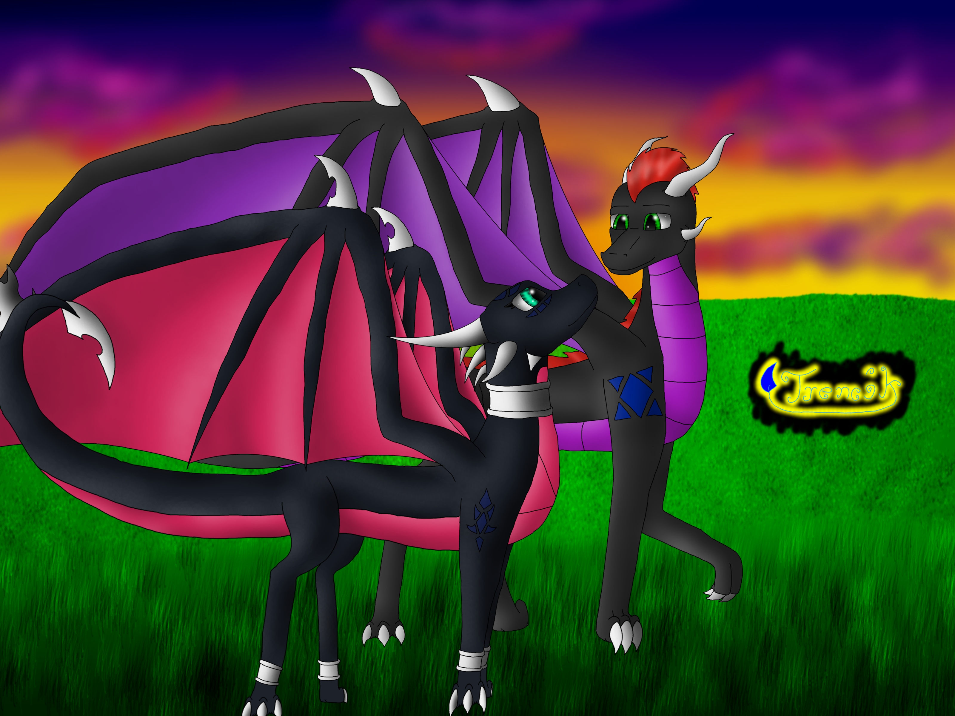 Nero X Cynder