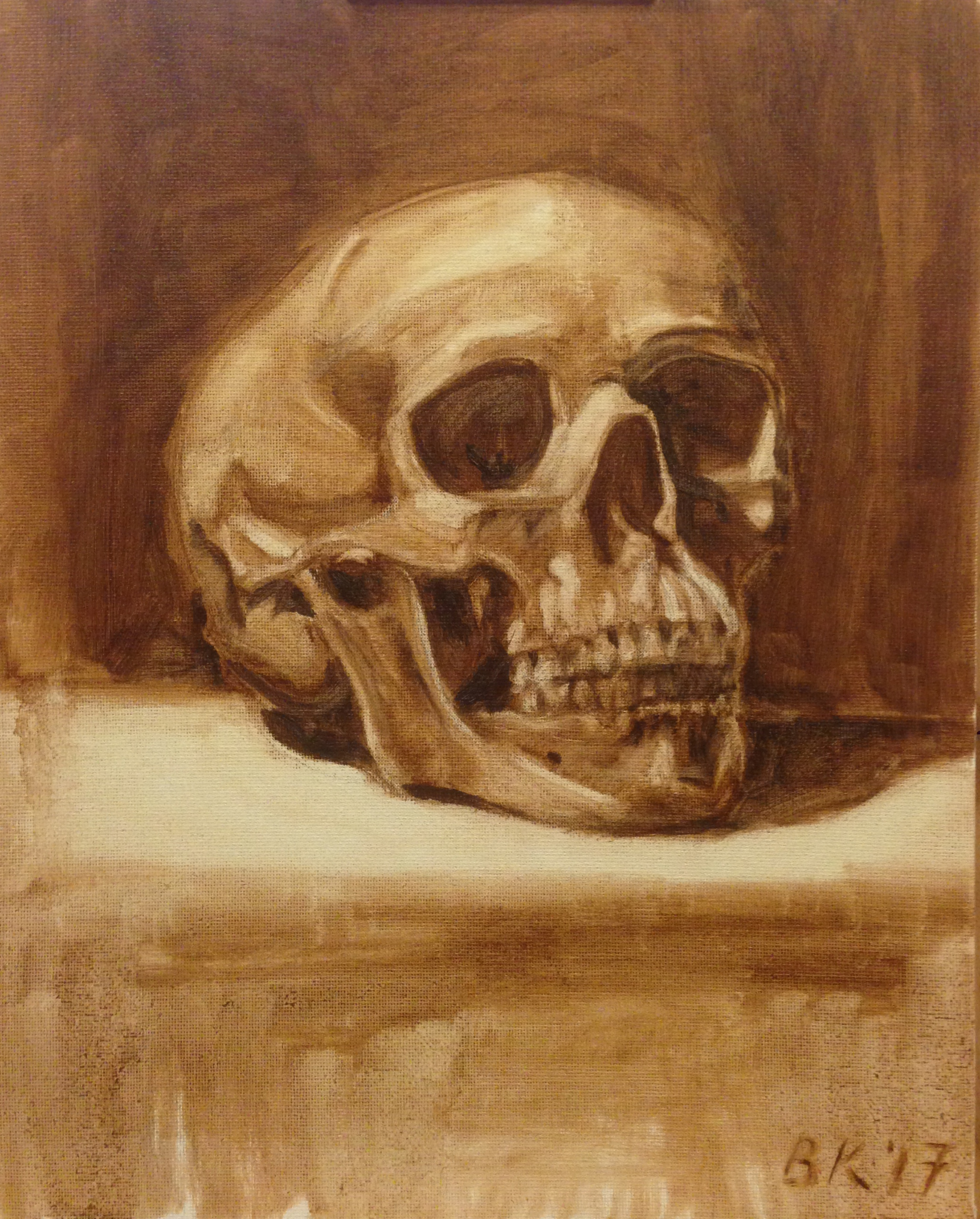 Skull Study